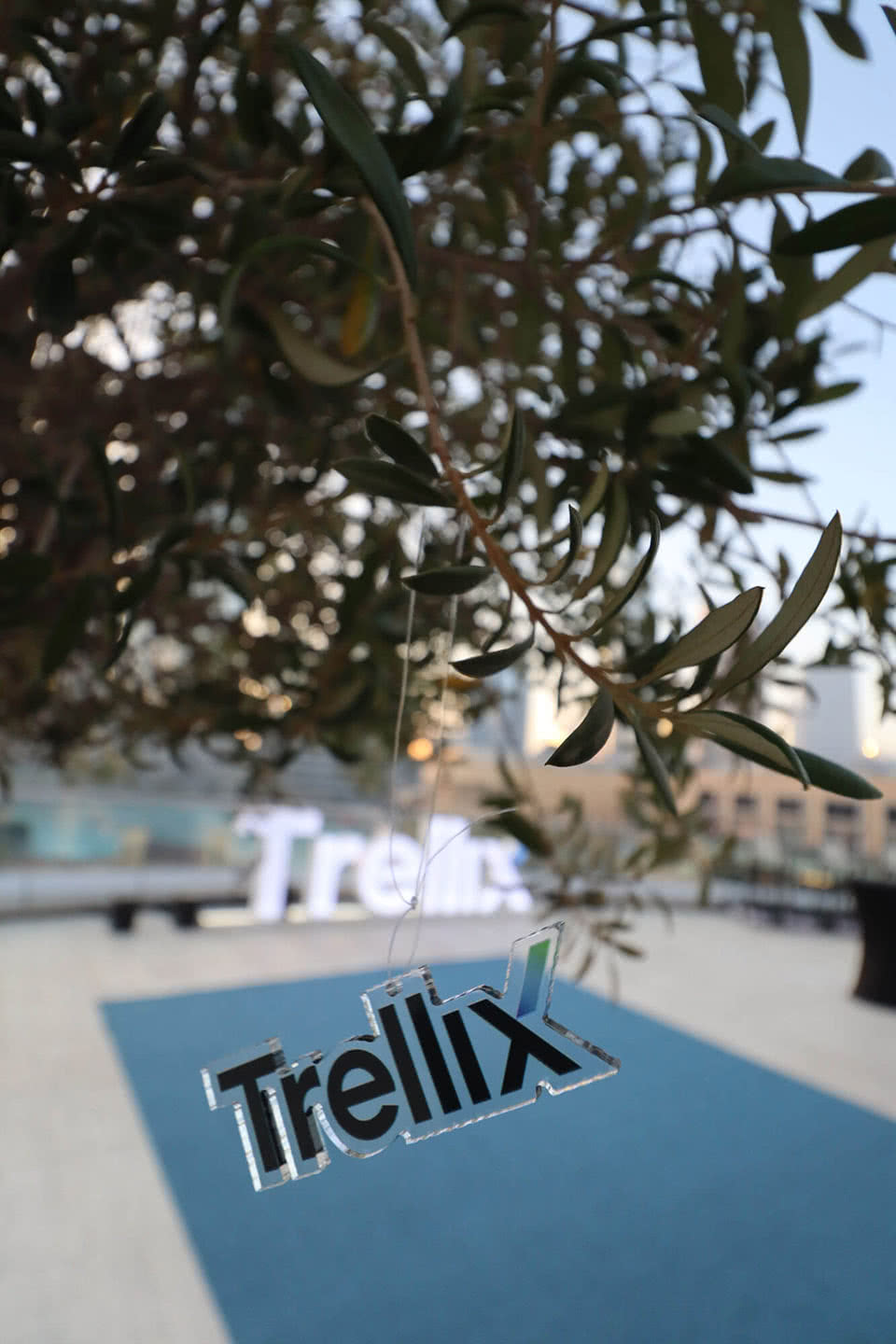 Trellix Genesis Slideshow Image 069