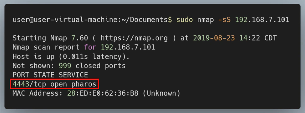 Figure 5: Running Nmap on the temi