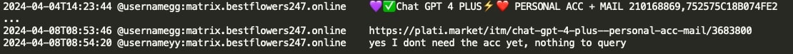 Figure 10: GG sharing ChatGPT account details bought from Plati
Market
