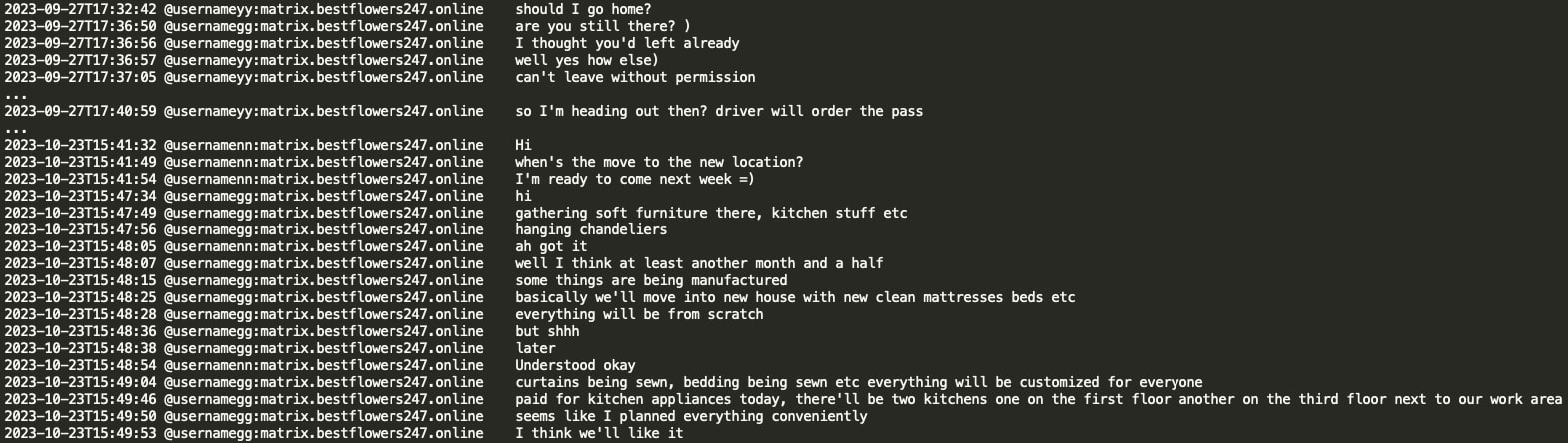 Figure 7: GG’ chat with NN where they discuss their new physical
office