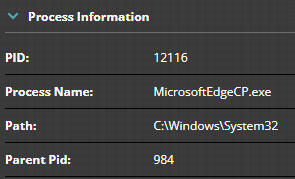 Figure 11: Browser Process