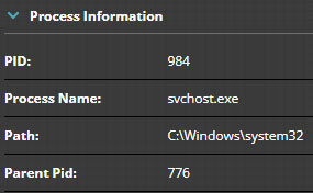 Figure 12: Browser’s Parent Process