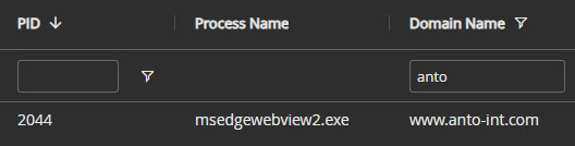 Figure 7: DNS Lookup Event