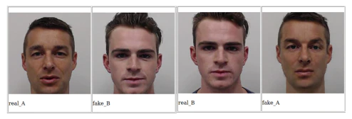 Model Images (Training – Real_A & Real_B) – Generated (Fake_B & Fake_A)