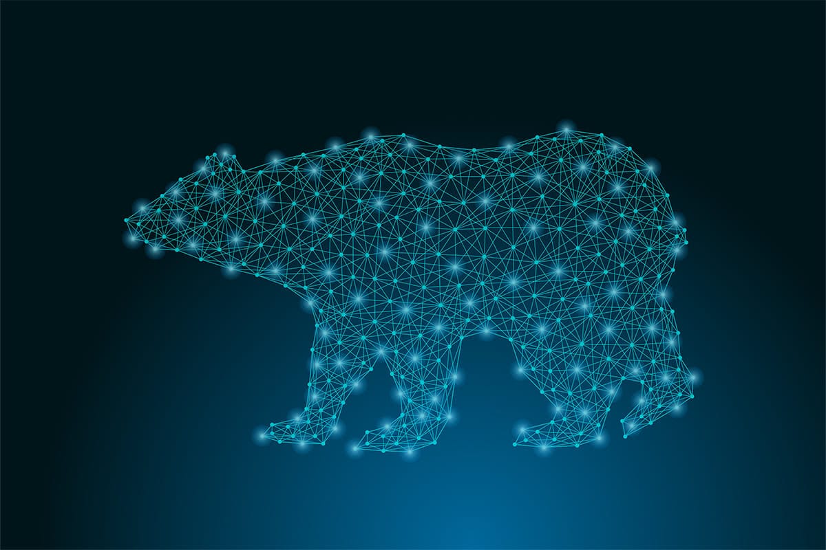 Entwicklungen in der russischen Cyber-Kriminalität